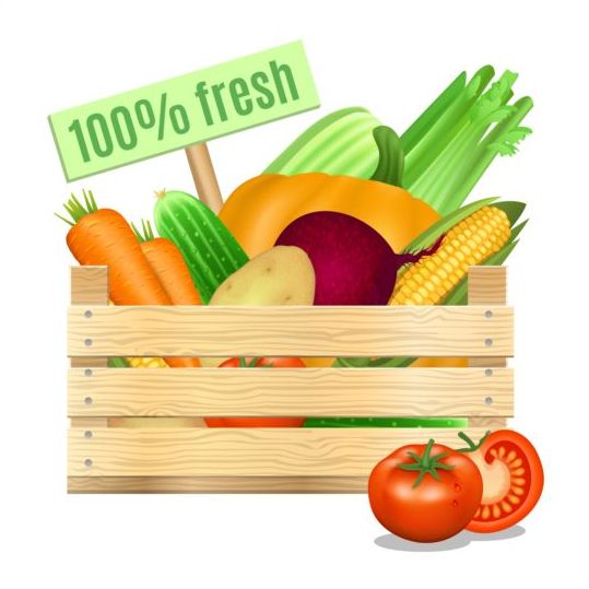 Organic vagetables poster vector design 02
