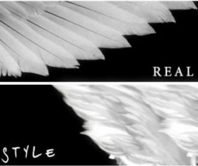 Real Wing PS brushes