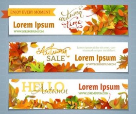 Sale banner with beautiful autumn leaves vector 01