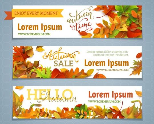 Sale banner with beautiful autumn leaves vector 01