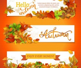 Sale banner with beautiful autumn leaves vector 02