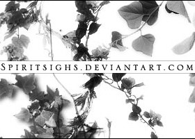 Tree branches with leaves brushes