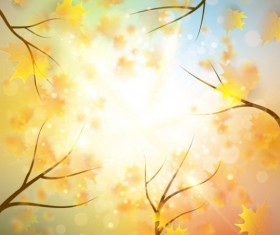 Tree leaves with sunlight autumn background vector