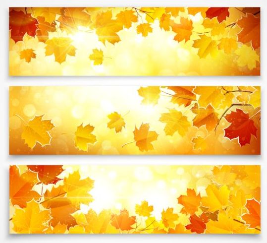 Vector banners with autumn leaves vector set 01