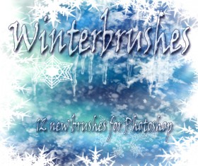 Winter brush PS Brushes