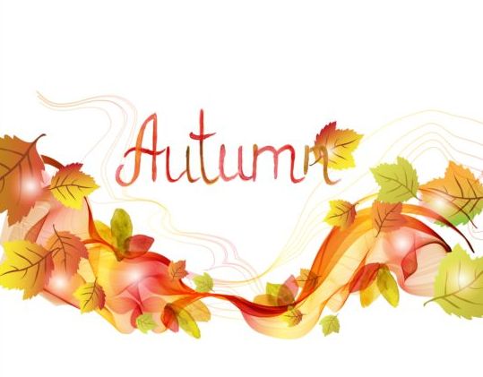 Abstract autumn leaves background vector