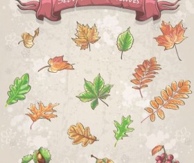 Autumn frame with sale vector material 04