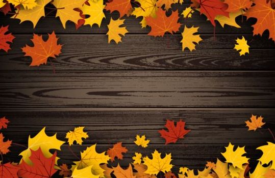 Autumn leaves with dark wooden background vector