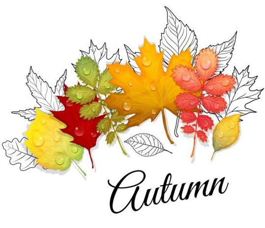Autumn leaves with outline vectors background