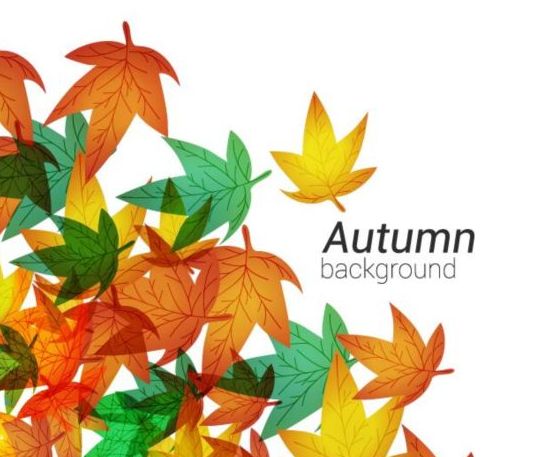 Autumn leaves with white background vector 01