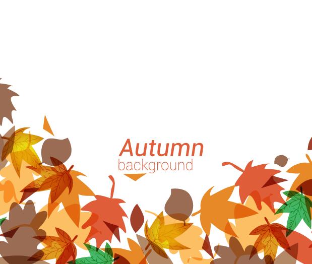 Autumn leaves with white background vector 02