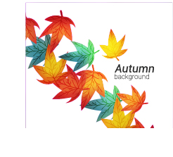 Autumn leaves with white background vector 03