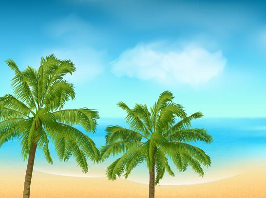 Beaches and palm trees with sea background vector 03