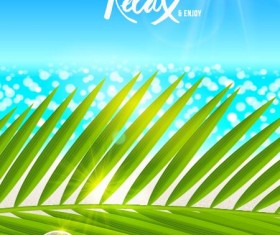 Beaches and palm with shell summer background vector