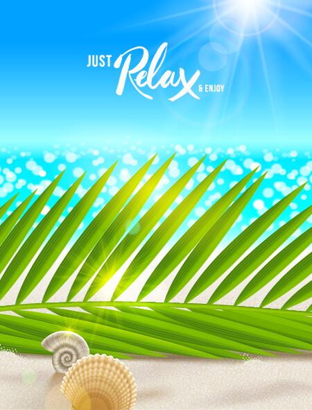 Beaches and palm with shell summer background vector