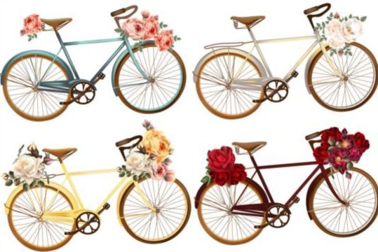 Bicycles with roses flower vector material