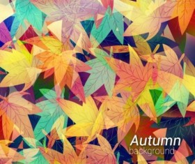 Colored autumn leaves pattern background vector