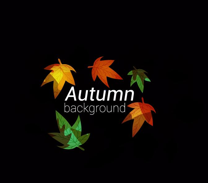 Colored autumn leaves with black background vector