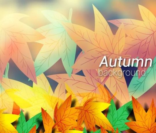 Colored autumn leaves with blurred background vector 01