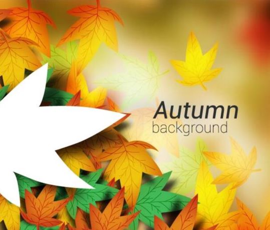 Colored autumn leaves with blurred background vector 02