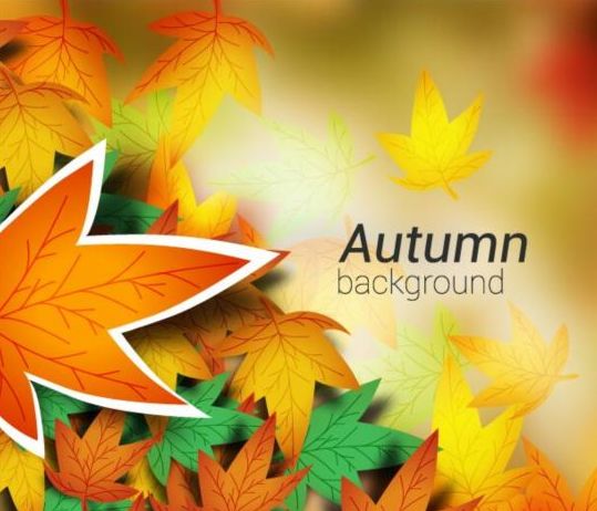 Colored autumn leaves with blurred background vector 04
