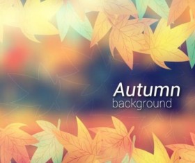 Colored autumn leaves with blurred background vector 05