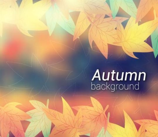 Colored autumn leaves with blurred background vector 05