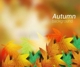 Colored autumn leaves with blurred background vector 06
