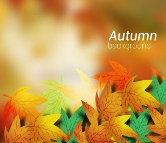 Colored autumn leaves with blurred background vector 06