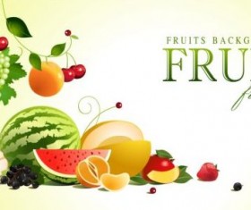 Creative fruit background vector graphic 01