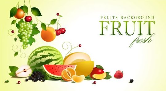 Creative fruit background vector graphic 01