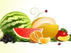 Creative fruit background vector graphic 05