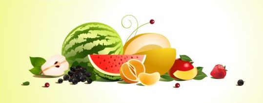 Creative fruit background vector graphic 05
