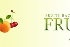 Creative fruit background vector graphic 06