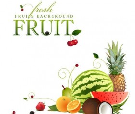 Creative fruit background vector graphic 11