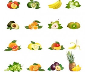 Different fruit vector graphic