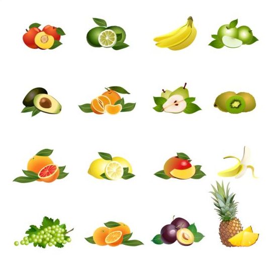 Different fruit vector graphic