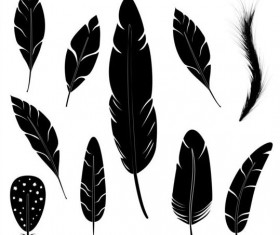 Feather silhouetter vectors set 02