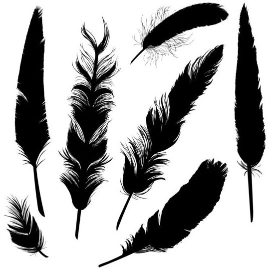 Feather silhouetter vectors set 03