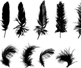 Feather silhouetter vectors set 04