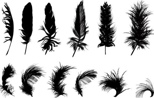 Feather silhouetter vectors set 04