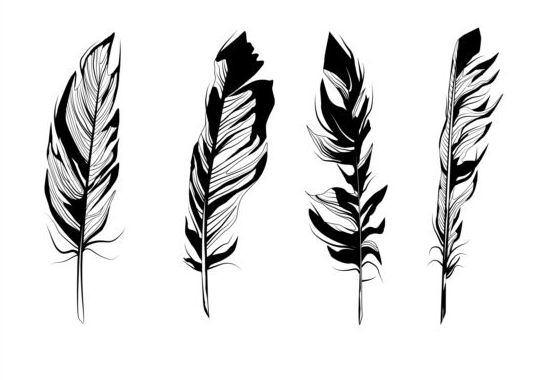 Feather silhouetter vectors set 05