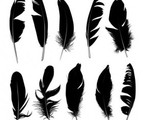 Feather silhouetter vectors set 06