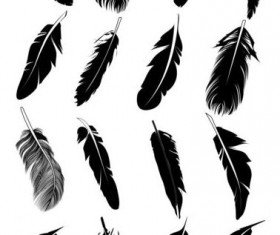 Feather silhouetter vectors set 07