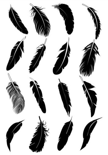 Feather silhouetter vectors set 07