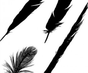 Feather silhouetter vectors set 08