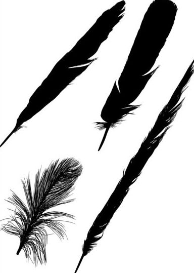 Feather silhouetter vectors set 08