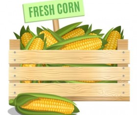 Fresh corn poster vector design
