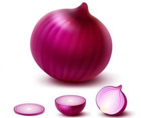 Fresh onion slice vector 01