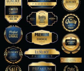 Golden with blue luxury badges and labels vector